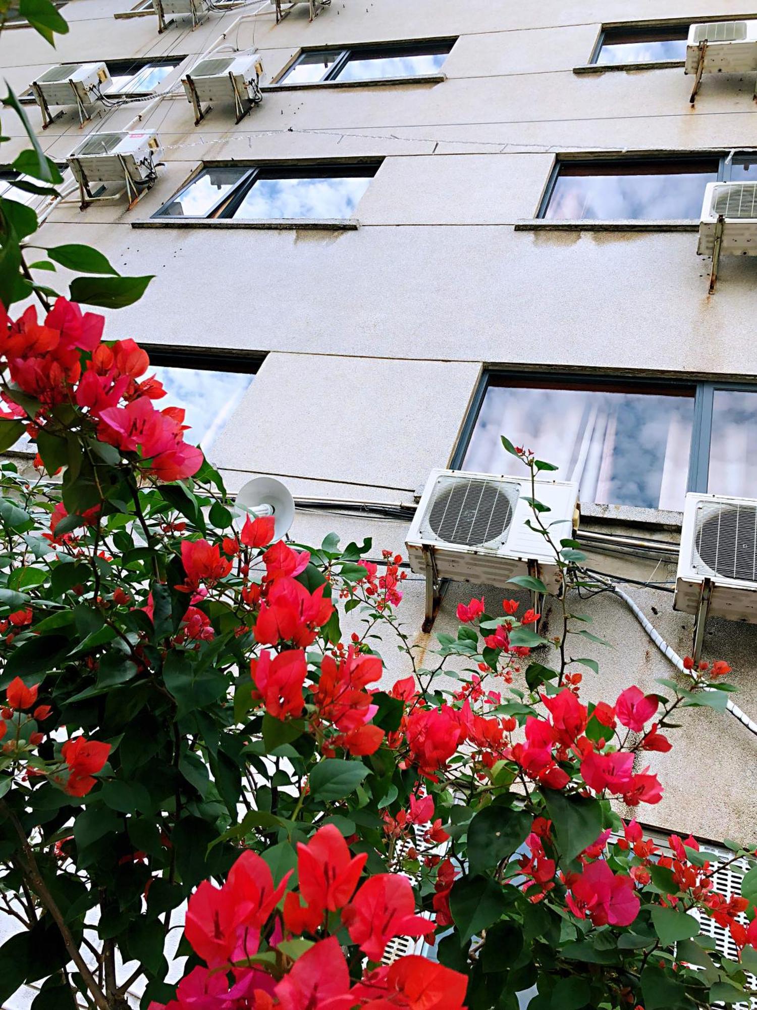 Lakeside Inn Guilin Dış mekan fotoğraf